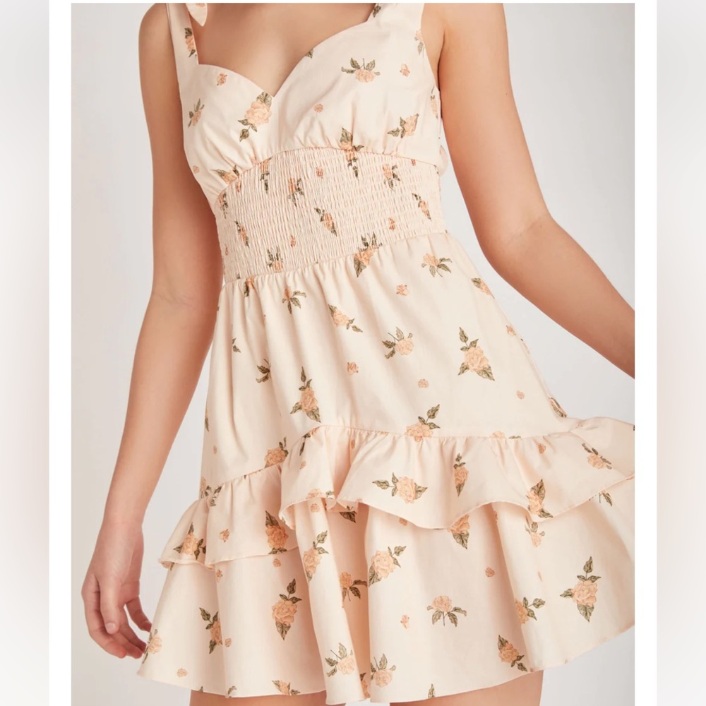 Backyard Roses Pink Rose Watercolor Mia Dress Size Medium